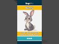 bunny - a small, soft animal with l... video thumbnail