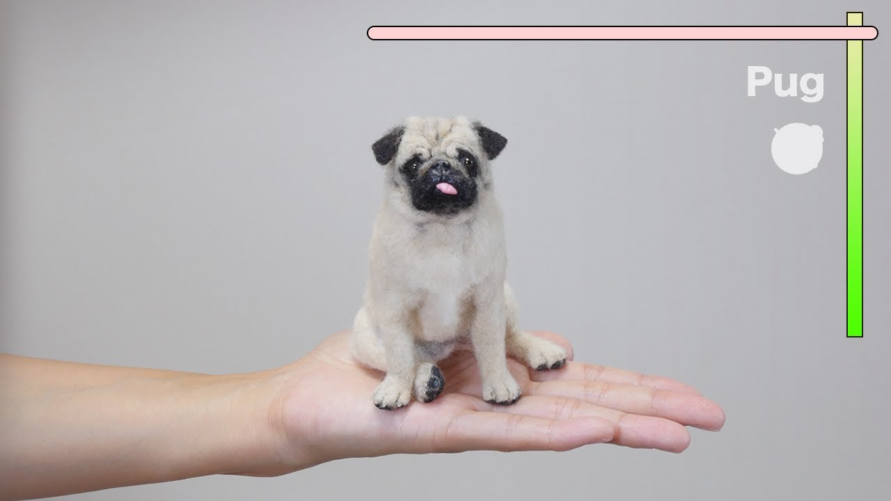 羊毛フェルトで作るパグ/"Pug" The process of making with wool felt