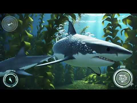 realistic shark simulator
