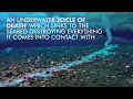 The Birth Of A Brinicle And The Death It Brings To The Ocean Floor
