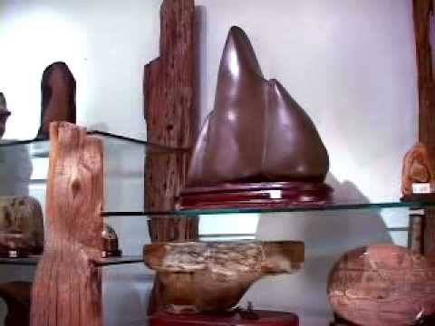 Scholar Stones at Rosemead Gardens