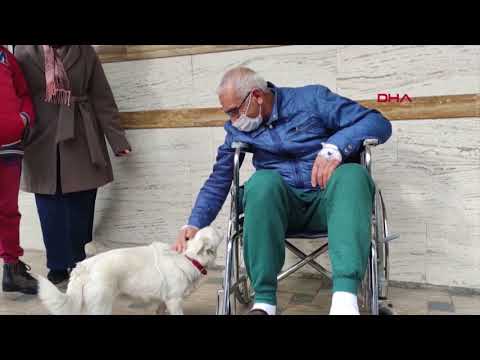 狗狗在土耳其醫院外等待主人 (Dog waits for owner outside Turkish hospital)