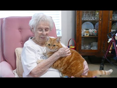 Woman who just turned 99 is hooked on crocheting mats for homeless cats