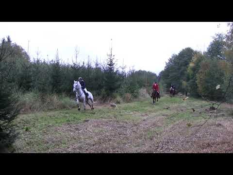 Parforsní hon_foxhunting_Schleppjagd_MARTINICE-DRAHENICE_06