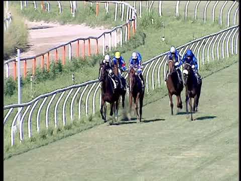 Galoppo 25/06/2019 - 1ª corsa