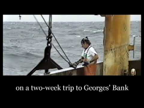 Scalloping with The Courageous