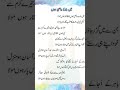 Main Banda E Aasi Hoon Lyrics Urdu Urdulyrics Naat Naatsharif Lyricvideo