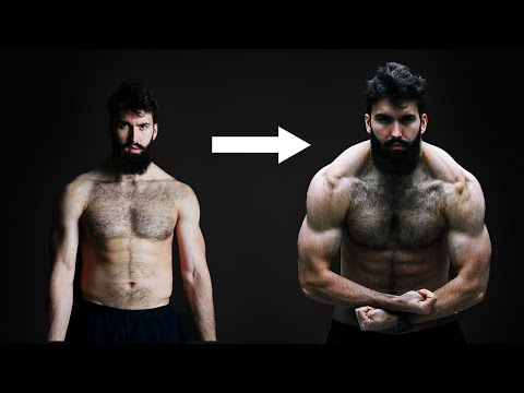 Why You Should Bulk For ALL of 2025