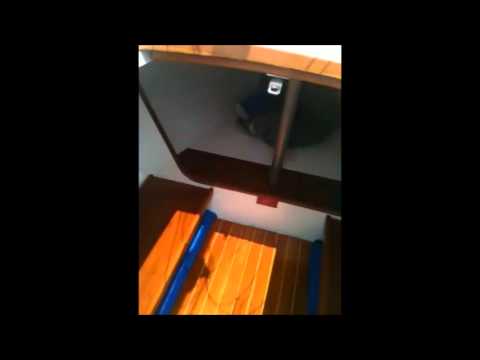 J22 For Sale in tip top shape