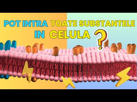 Transport Membranar Celula: Pasiv vs. Activ ( difuziune, osmoza, pompe) - pentru medicina / admitere