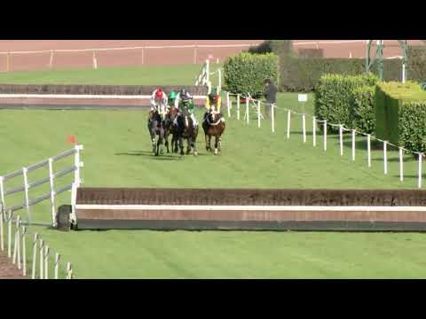 Avenches/11.11.2018/8. Rennen der Omento Next Generation Trophy