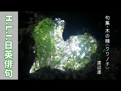 Bilingual haiku(8) 『Dryad(kukunochi) Baku Watanabe 』 #haiku #yakushima  Japanese contemporary haiku