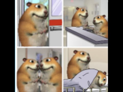 How to Find "Loss Chomik" In Find the Chomiks