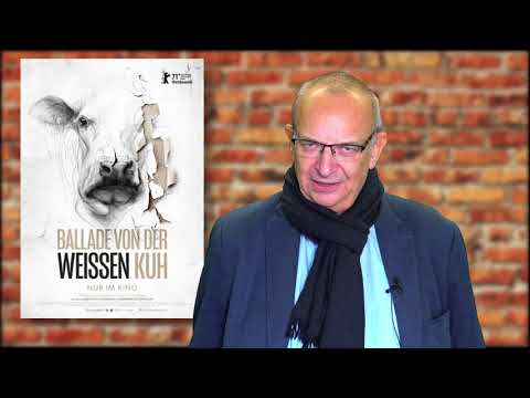 Ballade von der weißen Kuh - Filmtipp von Pfarrer Thomas Bohne