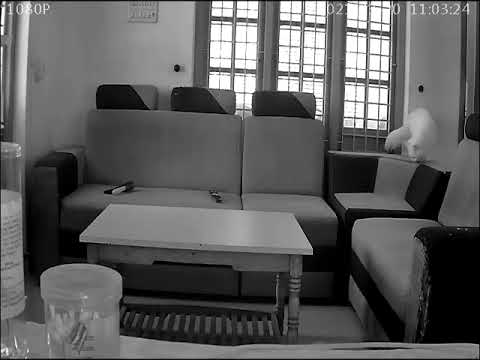 Brama yugam ഭ്രമയുഗം