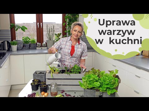 , title : 'Uprawa warzyw w kuchni - 8 najbardziej popularnych warzyw uprawianych na kuchennym parapecie'