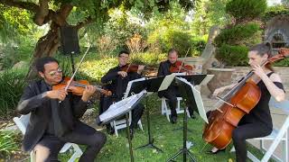 Mercury Strings