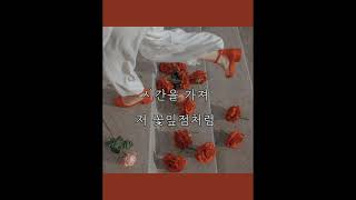 ⚘ 꽃잎점 - PERC%NT (하트시그널 삽입곡) 가사