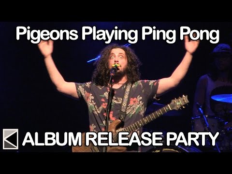 Pigeons Playing Ping Pong - 