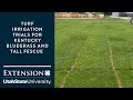 Irrigation Trials for Tall Fescue and Kentucky Bluegrass