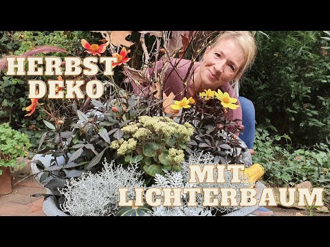 , title : 'DIY Lichterbaum mit Ästen&Laub | Herbst Deko Idee für Balkon &Terrasse | Bepflanzung in gelb-orange'