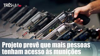 CCJ retoma discussão sobre PL do porte de armas no Brasil