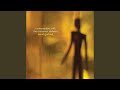 The Long View (feat. Sean Lennon, Charlotte Kemp Muhl & Vashti Bunyan)