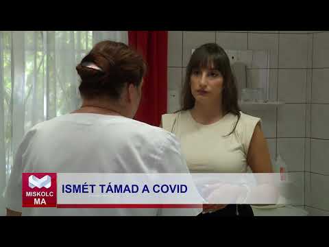 Videó előnézet