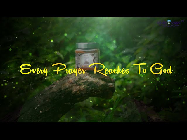 Natural Loban Dhoop powder (Resin Gum Benzoin Powder) video