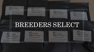 Shrimp Sanctuary Breeders Select