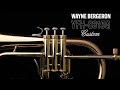 Yamaha YFH-8315 G 02 Bb Flugelhorn thumbnail 6