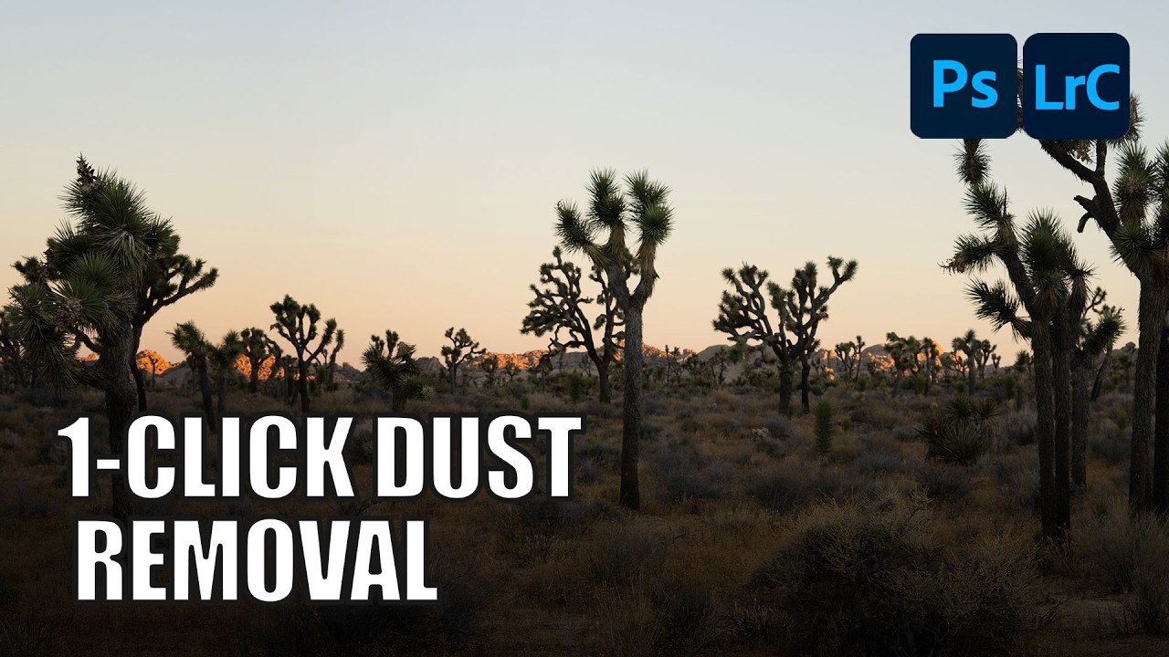 How To Use The Dust Removal Feature in Lightroom & Photoshop