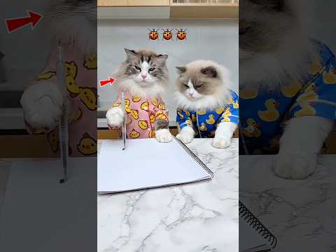 Chinki And Minki Play With Pen And Paper 😁