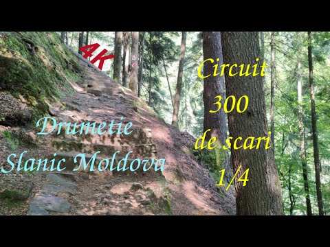 #Hiking ~ Circuitul 300 de scari 1/4 ~ #Slanic Moldova ~ #Bacau ~ Romania ~ 4k60fps