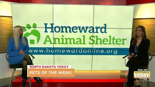 North Dakota Today - Pets of the Week