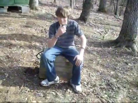 Treehouse Madness (wooden box)