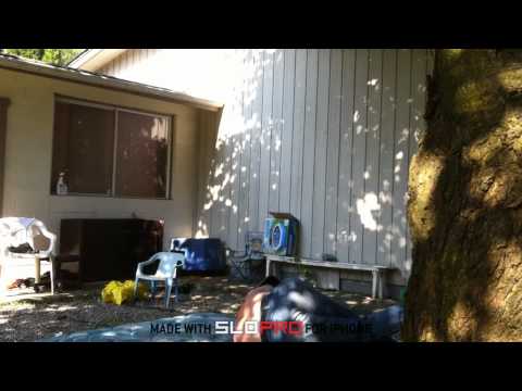 Human Projectile Weapon