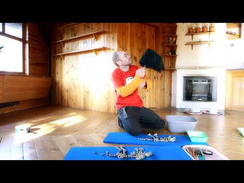 STŘECHA SE BORTÍ aneb Zachraňme společně domeček