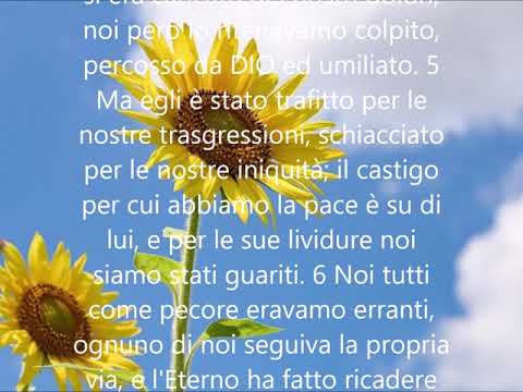 LETTURA: ISAIA 53