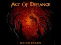 Act Of Defiance - Birth And The Burial 