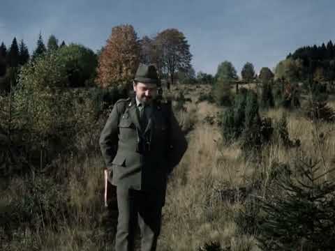 Pod Jezevčí skálou - wandering through Šumava - music by Luboš Sluka
