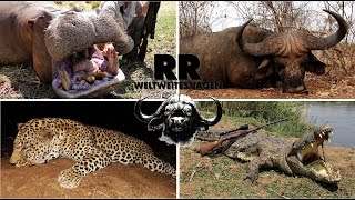 Hunting Adventure Zambia | Big Game entlang des Sambesis | RR Weltweites Jagen