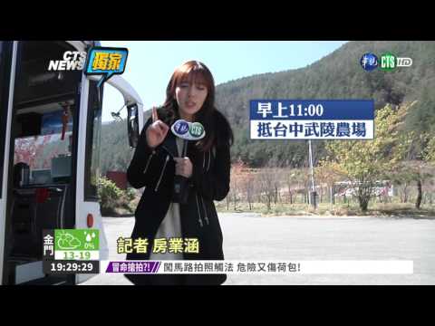 武陵賞櫻團一日遊 單程4.5小時