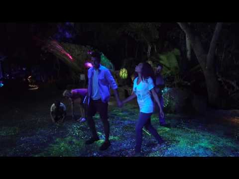 Bioluminescence on Pandora - The World of Avatar