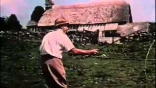 Run Wild, Run Free    1969 8