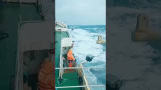 Download lagu badai terganas di taiwan mp3