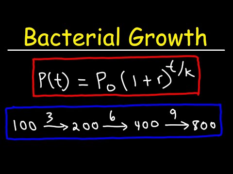 How To Solve Bacteria Growth Math Problems