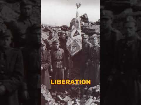 The Female Guards of Nazi Concentration Camps part3 (Faces of Evil) #shorts  #history