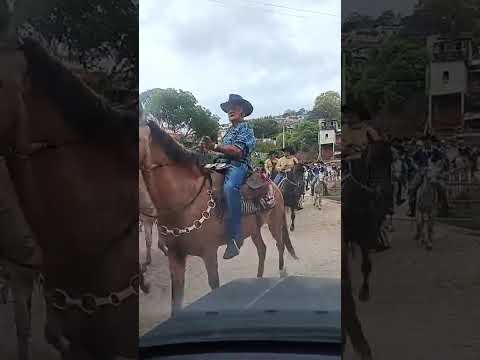 21 vestival agropecuário de Maria da fé 