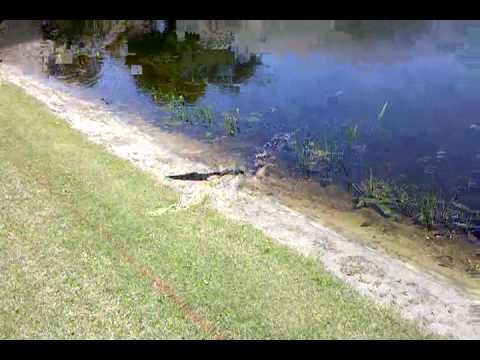 video-2010-03-30-12-22-55